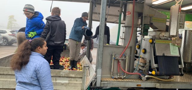 Schüler erzeugen ihren eigenen Apfelsaft Schüler erzeugen ihren eigenen Apfelsaft
