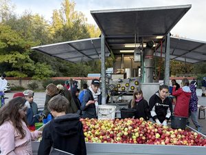 Leckerer Saft aus einer Tonne Äpfeln