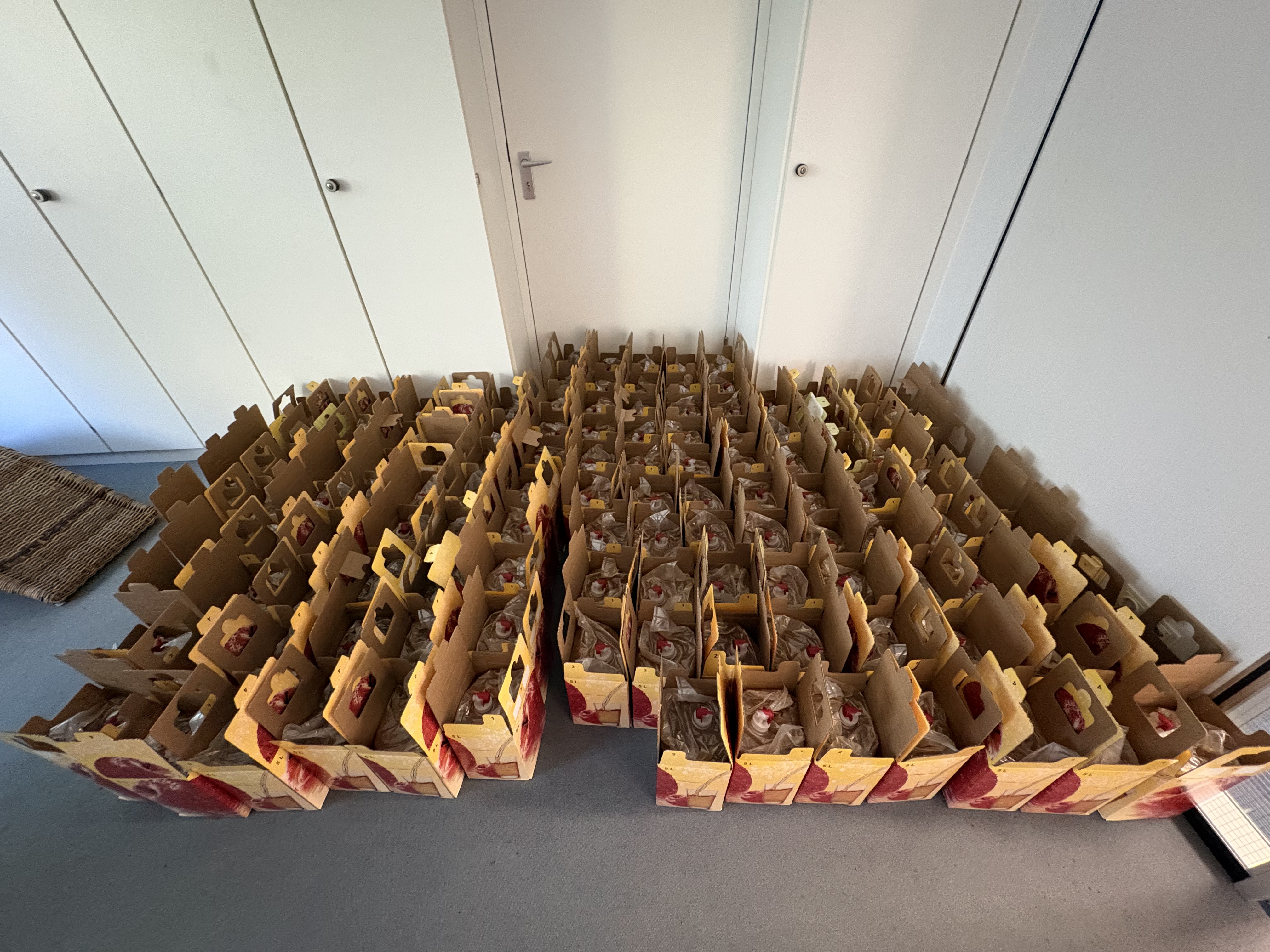 Foto: 124 Saftkartons im Lager