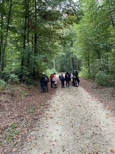 Waldtag der Grundstufe