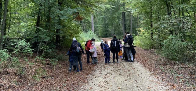 Waldtag der Grundstufe Waldtag der Grundstufe